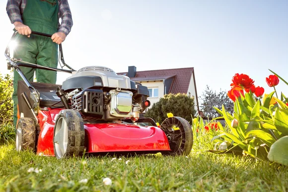 Person mäht Rasen mit Rasenmäher